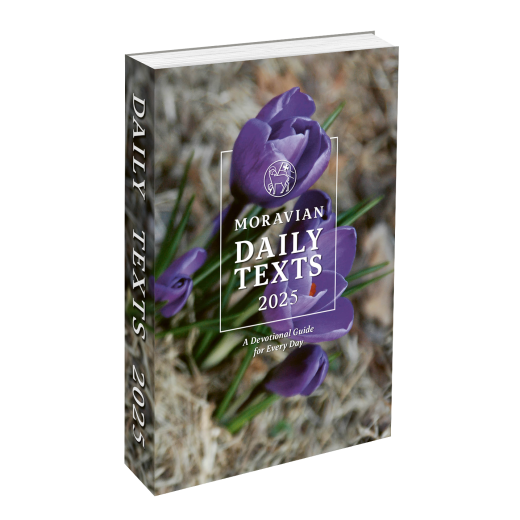 Moravian Daily Texts 2025 (amerikanische Losungen der Herrnhuter Brüdergemeine)