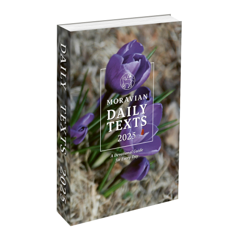 Moravian Daily Texts 2025 (amerikanische Losungen der Herrnhuter Brüdergemeine)
