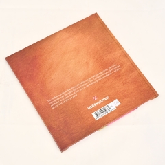 Emmi und Jonas und die Weihnachtsgeschichte - Bd. 2