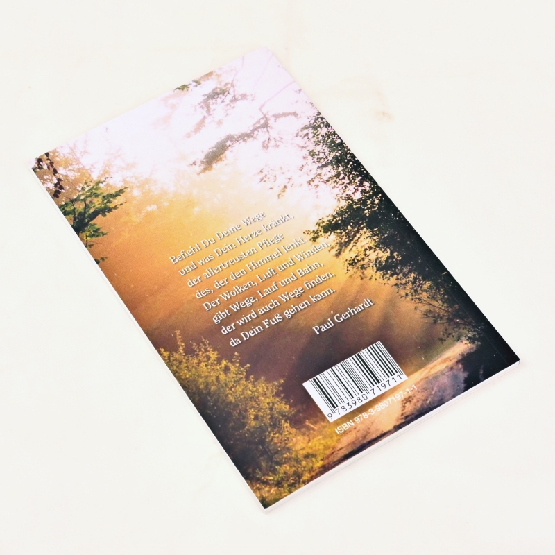 Skulpturenpfad-Führer Auf den Spuren des Glaubens - Ein Wegbegleiter für den Skulpturenpfad von Herrnhut nach Großhennersdorf