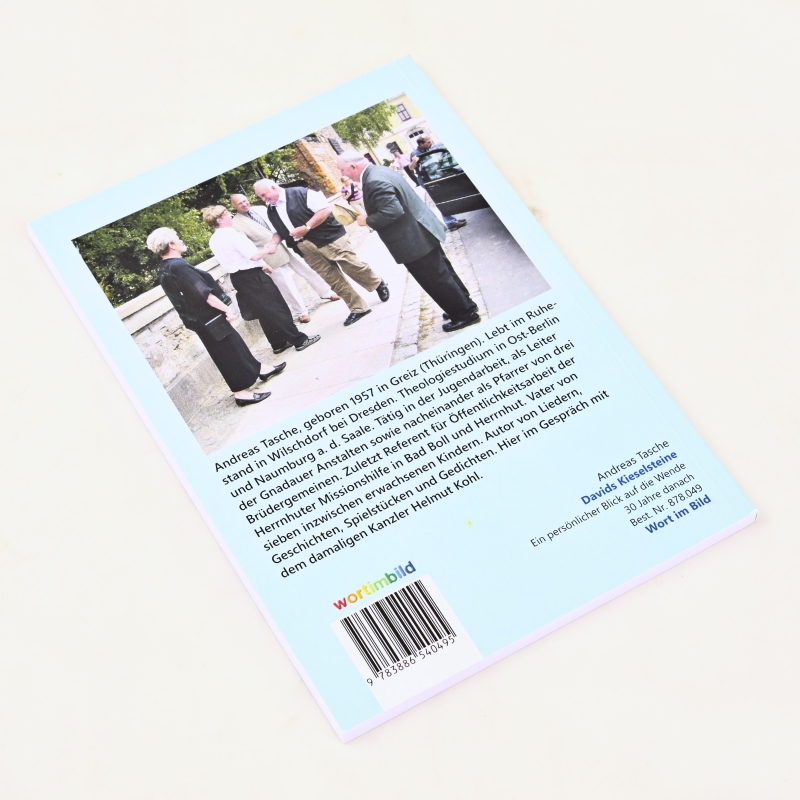 Andreas Tasche: Davids Kieselsteine